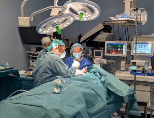 ¿Qué tipo de cirugía de mama necesito? Una guía clara para pacientes